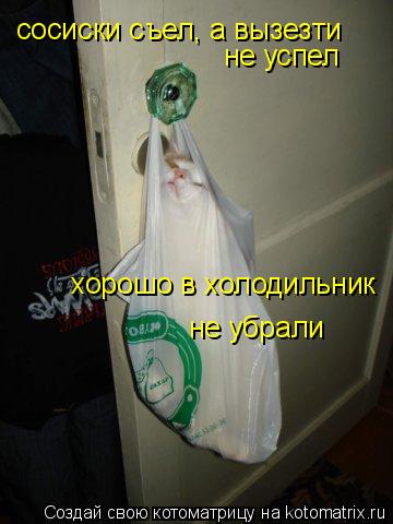 сосиски съел, а вызезти не успел хорошо в холодильник не убрали... Котоматрица: сосиски съел, а вызезти не успел хорошо в холодильник не убрали