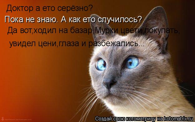 Доктор а ето серёзно? Пока не знаю. А как ето случилось? Да вот,ходил на базар,Мурки цвети покупать, ... Котоматрица: Доктор а ето серёзно? Пока не знаю. А как ето случилось? Да вот,ходил на базар,Мурки цвети покупать, увидел цени,глаза и разбежались...