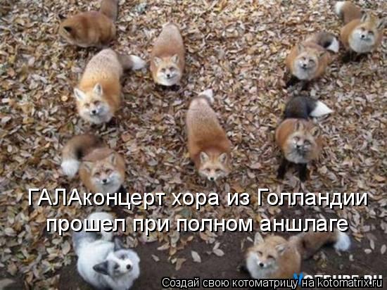 ГАЛАконцерт хора из Голландии прошел при полном аншлаге... Котоматрица: ГАЛАконцерт хора из Голландии прошел при полном аншлаге