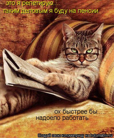 это я репетирую.... таким деловым я буду на пенсии ох быстрее бы..... надоело работать... Котоматрица: это я репетирую.... таким деловым я буду на пенсии ох быстрее бы..... надоело работать