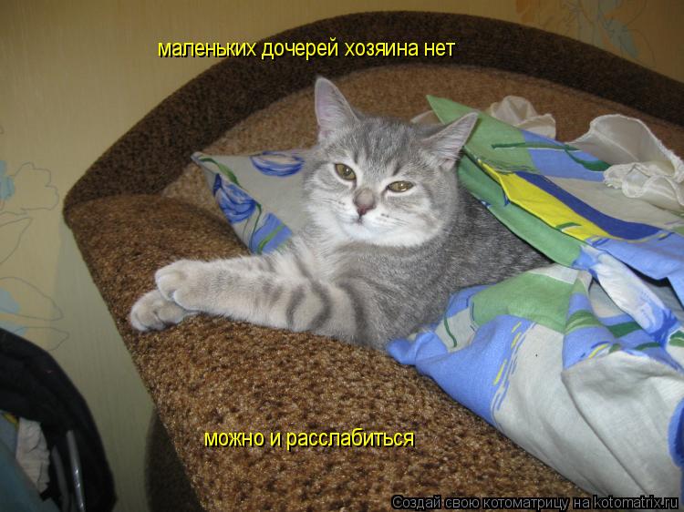 маленьких дочерей хозяина нет можно и расслабиться... Котоматрица: маленьких дочерей хозяина нет можно и расслабиться
