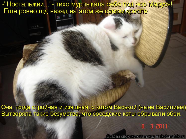 -"Ностальжии..."- тихо мурлыкала себе под нос Маруся! Ещё ровно год назад на этом же самом кресле Она... Котоматрица: -"Ностальжии..."- тихо мурлыкала себе под нос Маруся! Ещё ровно год назад на этом же самом кресле Она, тогда стройная и изящная, с котом Васькой