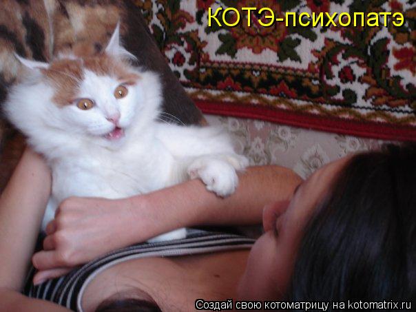 КОТЭ-психопатэ... Котоматрица: КОТЭ-психопатэ