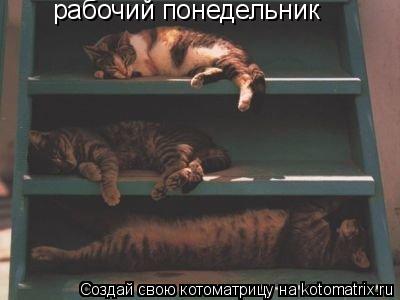 рабочий понедельник... Котоматрица: рабочий понедельник