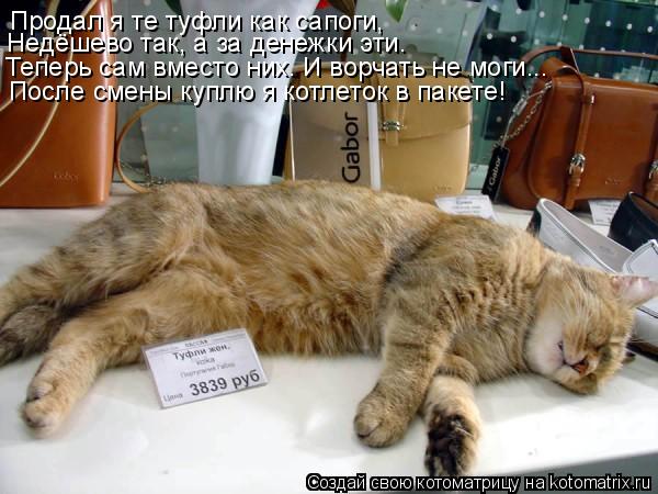 Продал я те туфли как сапоги, Недёшево так, а за денежки эти. Теперь сам вместо них. И ворчать не мог... Котоматрица: Продал я те туфли как сапоги, Недёшево так, а за денежки эти. Теперь сам вместо них. И ворчать не моги... После смены куплю я котлеток в пакете!