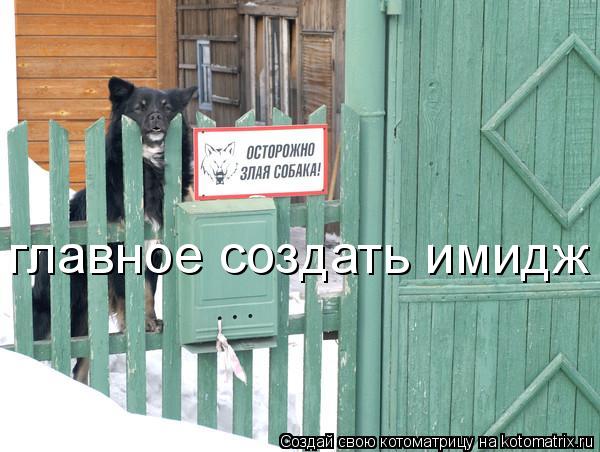 главное создать имидж... Котоматрица: главное создать имидж