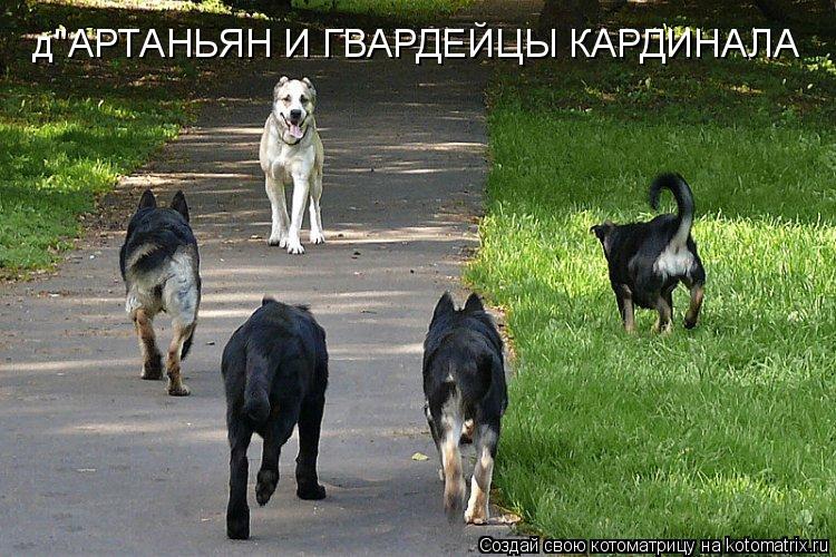 д"АРТАНЬЯН И ГВАРДЕЙЦЫ КАРДИНАЛА... Котоматрица: д"АРТАНЬЯН И ГВАРДЕЙЦЫ КАРДИНАЛА