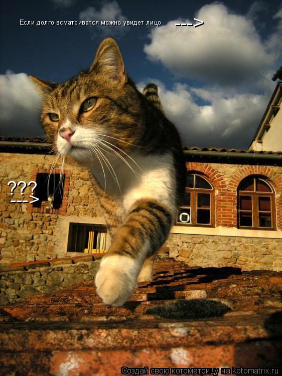 ---> ??? ---> Если долго всматриватся можно увидет лицо... Котоматрица: ---> ??? ---> Если долго всматриватся можно увидет лицо