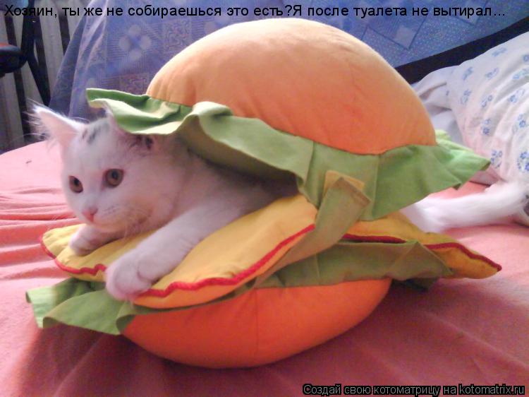 Хозяин, ты же не собираешься это есть? Хозяин, ты же не собираешься это есть?Я после туалета не вытир... Котоматрица: Хозяин, ты же не собираешься это есть? Хозяин, ты же не собираешься это есть?Я после туалета не вытирал...