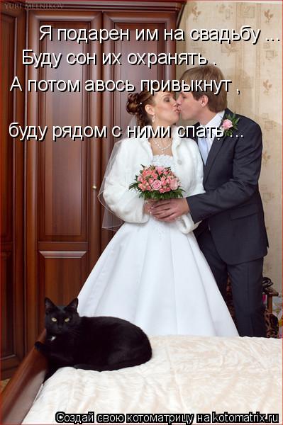 Я подарен им на свадьбу ... Буду сон их охранять . А потом авось привыкнут , буду рядом с ними спать ... Котоматрица: Я подарен им на свадьбу ... Буду сон их охранять . А потом авось привыкнут , буду рядом с ними спать ...