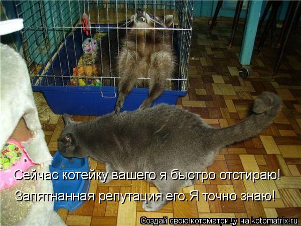 Сейчас котейку вашего я быстро отстираю! Запятнанная репутация его.Я точно знаю!... Котоматрица: Сейчас котейку вашего я быстро отстираю! Запятнанная репутация его.Я точно знаю!