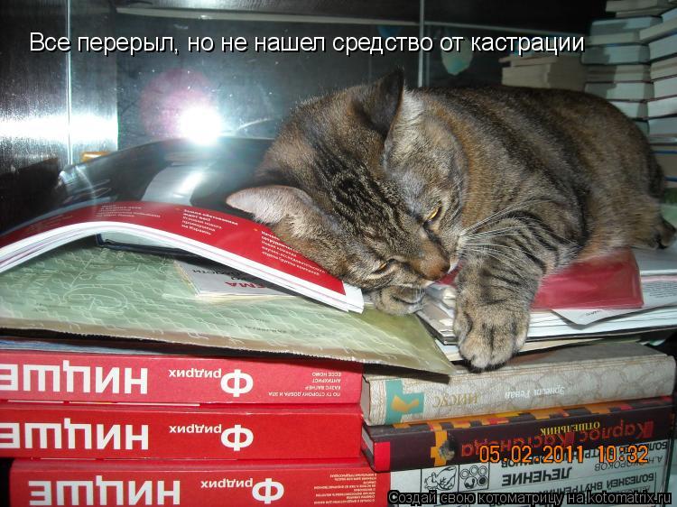 Все перерыл, но не нашел средство от кастрации... Котоматрица: Все перерыл, но не нашел средство от кастрации