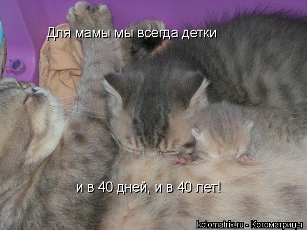 Для мамы мы всегда детки и в 40 дней, и в 40 лет!... Котоматрица: Для мамы мы всегда детки и в 40 дней, и в 40 лет!