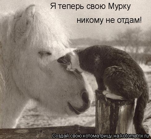 Я теперь свою Мурку никому не отдам!... Котоматрица: Я теперь свою Мурку никому не отдам!