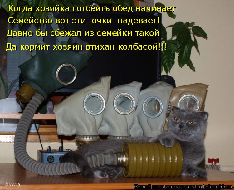 Когда хозяйка готовить обед начинает Семейство вот эти очки надевает! Давно бы сбежал из семейки та... Котоматрица: Когда хозяйка готовить обед начинает Семейство вот эти очки надевает! Давно бы сбежал из семейки такой Да кормит хозяин втихан колбасой!!!