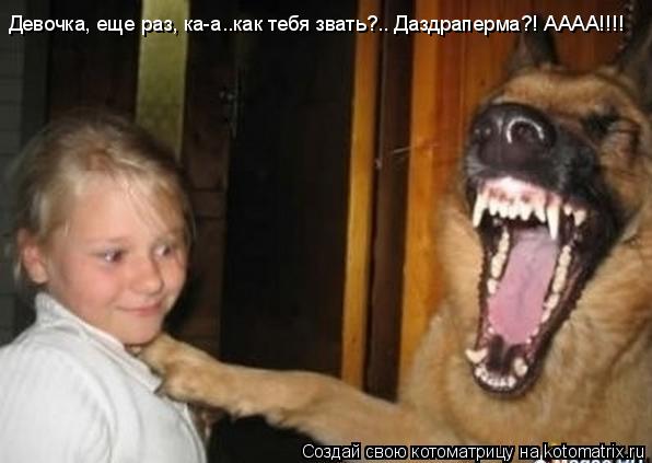 Девочка, еще раз, ка-а..как тебя звать?.. Даздраперма?! АААА!!!!... Котоматрица: Девочка, еще раз, ка-а..как тебя звать?.. Даздраперма?! АААА!!!!