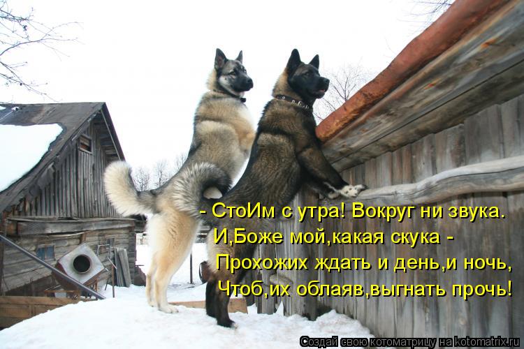 - СтоИм с утра! Вокруг ни звука. И,Боже мой,какая скука - Чтоб,их облаяв,выгнать прочь! Прохожих ждат... Котоматрица: - СтоИм с утра! Вокруг ни звука. И,Боже мой,какая скука - Чтоб,их облаяв,выгнать прочь! Прохожих ждать и день,и ночь,