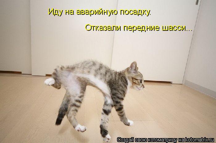 Иду на аварийную посадку. Отказали передние шасси...... Котоматрица: Иду на аварийную посадку. Отказали передние шасси...