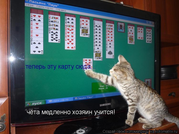 ...теперь эту карту сюда... чёта медленно хозяин учится!... Котоматрица: ...теперь эту карту сюда... чёта медленно хозяин учится!