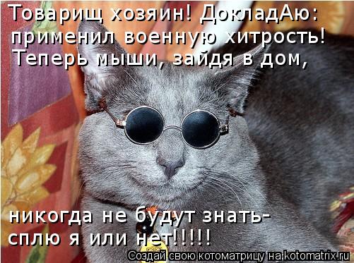 Товарищ хозяин! ДокладАю: применил военную хитрость! Теперь мыши, зайдя в дом, никогда не будут знать... Котоматрица: Товарищ хозяин! ДокладАю: применил военную хитрость! Теперь мыши, зайдя в дом, никогда не будут знать- сплю я или нет!!!!!