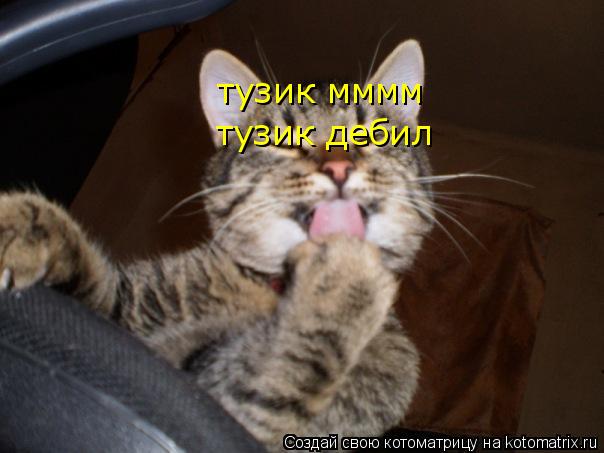 тузик мммм тузик дебил... Котоматрица: тузик мммм тузик дебил