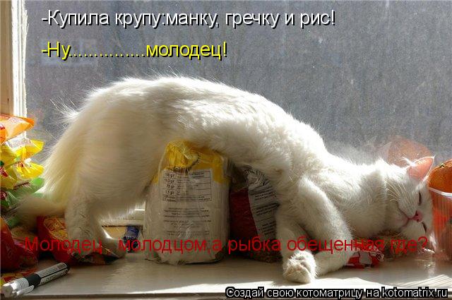 -Купила крупу:манку, гречку и рис! -Ну...............молодец! -Молодец , молодцом,а рыбка обещенная г... Котоматрица: -Купила крупу:манку, гречку и рис! -Ну...............молодец! -Молодец , молодцом,а рыбка обещенная где?