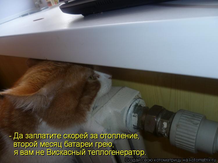 - Да заплатите скорей за отопление, второй месяц батареи грею, я вам не Вискасный теплогенератор.... Котоматрица: - Да заплатите скорей за отопление, второй месяц батареи грею, я вам не Вискасный теплогенератор.