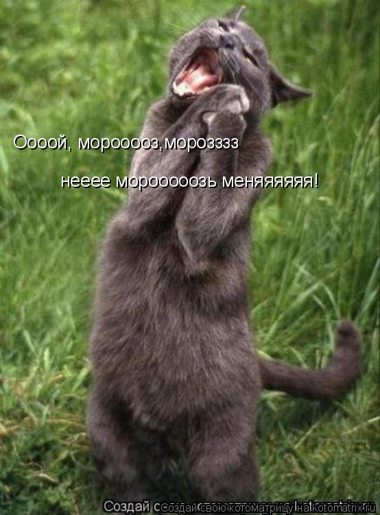 Оооой, морооооз,морозззз нееее морооооозь меняяяяяя!... Котоматрица: Оооой, морооооз,морозззз нееее морооооозь меняяяяяя!