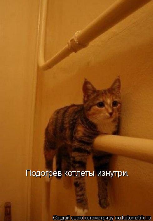 Подогрев котлеты изнутри.... Котоматрица: Подогрев котлеты изнутри.