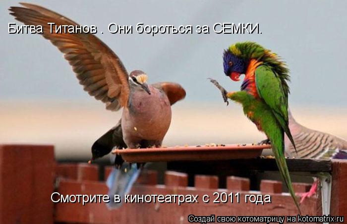Битва Титанов . Они бороться за СЕМКИ. Смотрите в кинотеатрах с 2011 года... Котоматрица: Битва Титанов . Они бороться за СЕМКИ. Смотрите в кинотеатрах с 2011 года