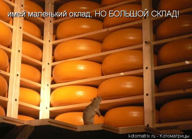 имей маленький оклад, НО БОЛЬШОЙ СКЛАД!... Котоматрица: имей маленький оклад, НО БОЛЬШОЙ СКЛАД!