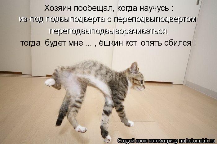 Хозяин пообещал, когда научусь : из-под подвыподверта с переподвыподвертом переподвыподвыворачиватьс... Котоматрица: Хозяин пообещал, когда научусь : из-под подвыподверта с переподвыподвертом переподвыподвыворачиваться, тогда будет мне ... , ёшкин кот, опя