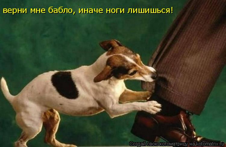 верни мне бабло, иначе ноги лишишься!... Котоматрица: верни мне бабло, иначе ноги лишишься!