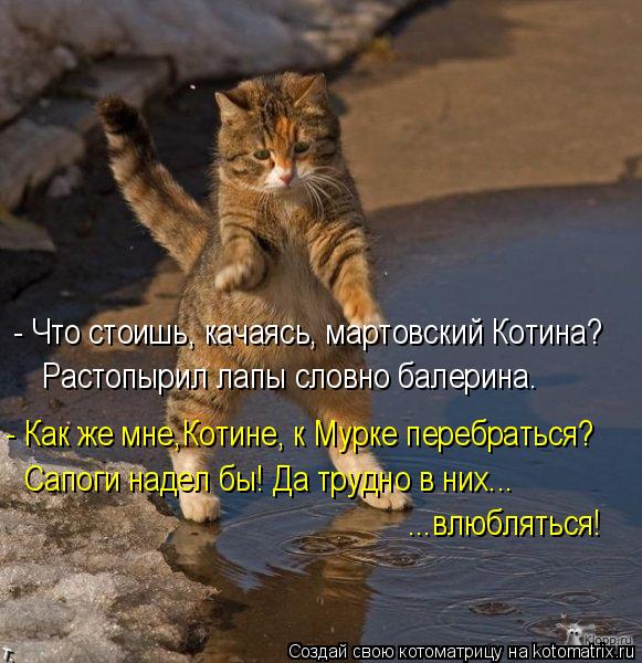 - Что стоишь, качаясь, мартовский Котина? Растопырил лапы словно балерина. - Как же мне,Котине, к Мур... Котоматрица: - Что стоишь, качаясь, мартовский Котина? Растопырил лапы словно балерина. - Как же мне,Котине, к Мурке перебраться? Сапоги надел бы! Да трудно