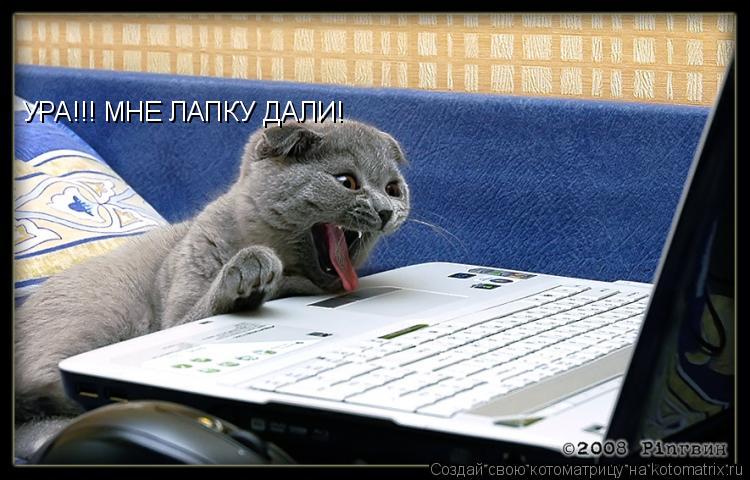 УРА!!! МНЕ ЛАПКУ ДАЛИ!... Котоматрица: УРА!!! МНЕ ЛАПКУ ДАЛИ!