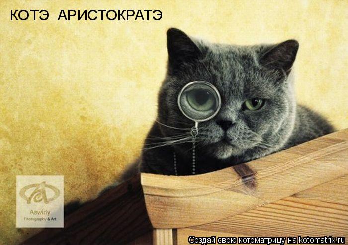 КОТЭ АРИСТОКРАТЭ... Котоматрица: КОТЭ АРИСТОКРАТЭ