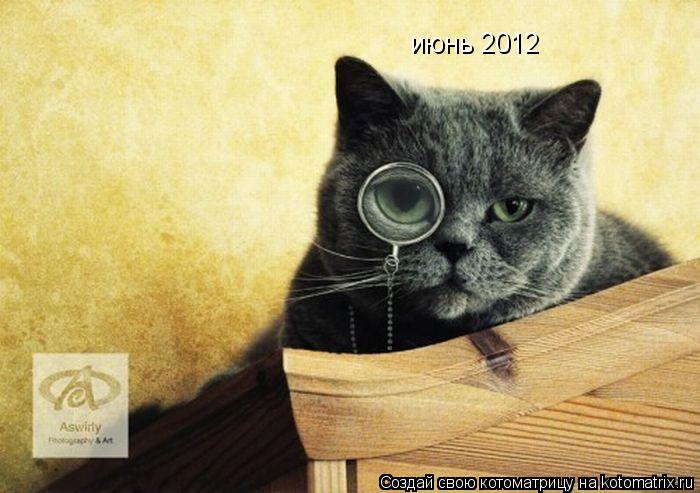 июнь 2012... Котоматрица: июнь 2012