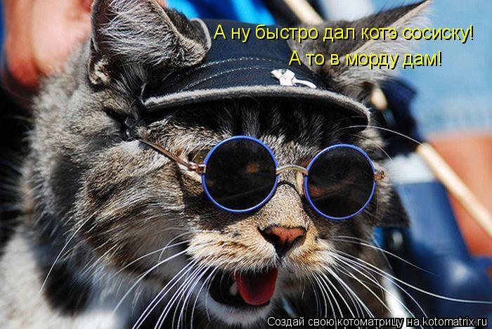А ну быстро дал котэ сосиску! А то в морду дам!... Котоматрица: А ну быстро дал котэ сосиску! А то в морду дам!