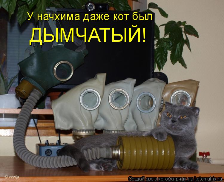 У начхима даже кот был ДЫМЧАТЫЙ!... Котоматрица: У начхима даже кот был ДЫМЧАТЫЙ!