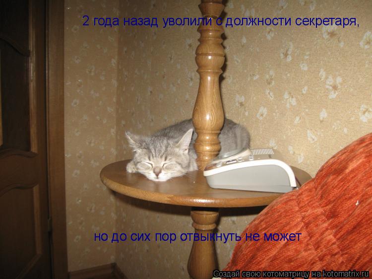 2 года назад уволили с должности секретаря, но до сих пор отвыкнуть не может но до сих пор отвыкнуть ... Котоматрица: 2 года назад уволили с должности секретаря, но до сих пор отвыкнуть не может но до сих пор отвыкнуть не может