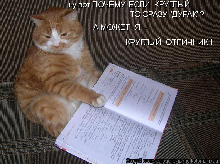 А МОЖЕТ Я - КРУГЛЫЙ ОТЛИЧНИК ! ну вот ПОЧЕМУ, ЕСЛИ КРУГЛЫЙ, ТО СРАЗУ "ДУРАК"?... Котоматрица: А МОЖЕТ Я - КРУГЛЫЙ ОТЛИЧНИК ! ну вот ПОЧЕМУ, ЕСЛИ КРУГЛЫЙ, ТО СРАЗУ "ДУРАК"?