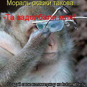 Мораль сказки такова... -Та задолбали мля!... Котоматрица: Мораль сказки такова... -Та задолбали мля!