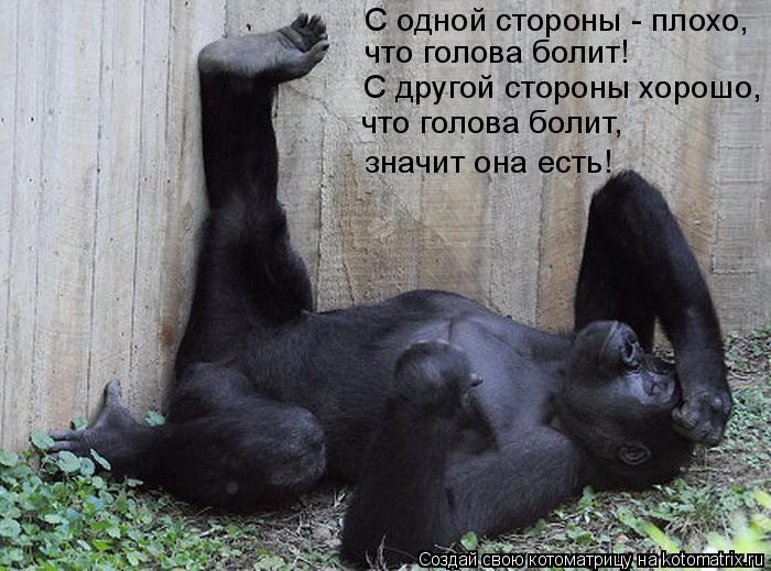 С одной стороны - плохо, что голова болит! С другой стороны хорошо, значит она есть! что голова бол... Котоматрица: С одной стороны - плохо, что голова болит! С другой стороны хорошо, значит она есть! что голова болит,
