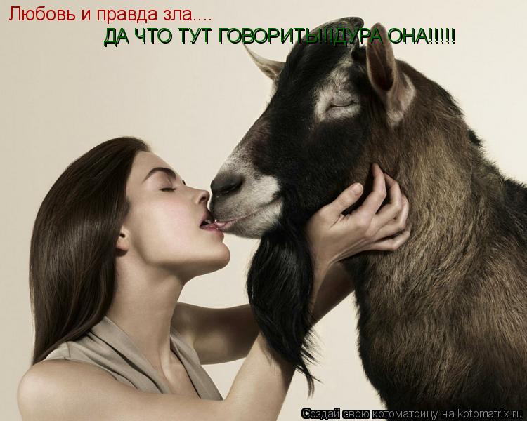 Любовь и правда зла.... ДА ЧТО ТУТ ГОВОРИТЬ!!!ДУРА ОНА!!!!!... Котоматрица: Любовь и правда зла.... ДА ЧТО ТУТ ГОВОРИТЬ!!!ДУРА ОНА!!!!!