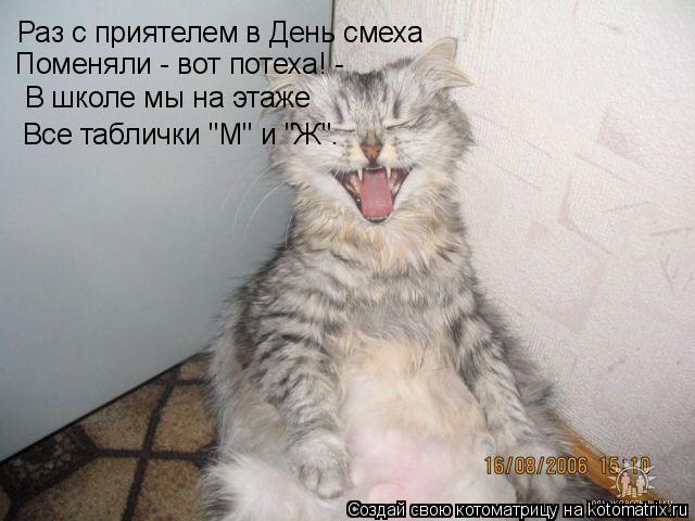 Раз с приятелем в День смеха Поменяли - вот потеха! - В школе мы на этаже Все таблички "М" и "Ж".... Котоматрица: Раз с приятелем в День смеха Поменяли - вот потеха! - В школе мы на этаже Все таблички "М" и "Ж".