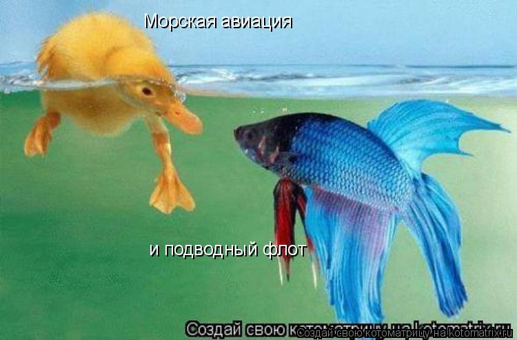 Морская авиация и подводный флот... Котоматрица: Морская авиация и подводный флот
