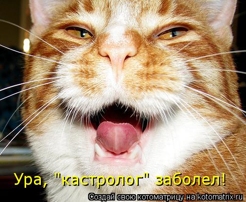 Ура, "кастролог" заболел!... Котоматрица: Ура, "кастролог" заболел!