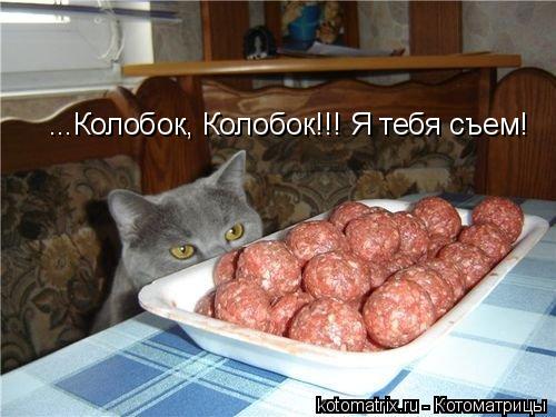 ...Колобок, Колобок!!! Я тебя съем!... Котоматрица: ...Колобок, Колобок!!! Я тебя съем!