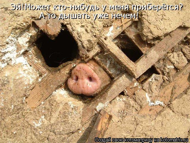 Эй!Может кто-нибудь у меня приберётся? А то дышать уже нечем!... Котоматрица: Эй!Может кто-нибудь у меня приберётся? А то дышать уже нечем!
