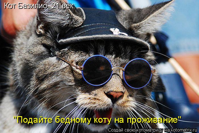 Кот Базилио, 21 век: "Подайте бедному коту на проживание"... Котоматрица: Кот Базилио, 21 век: "Подайте бедному коту на проживание"